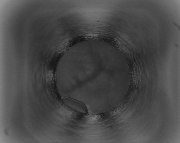 X0000091940711200709191420