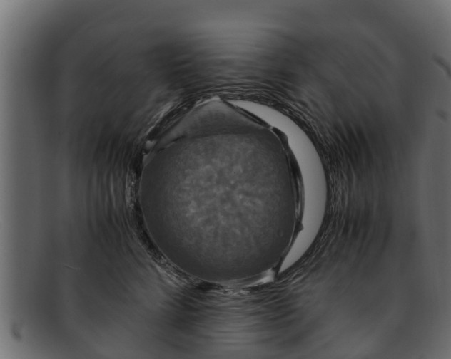 X0000091940712200709191420