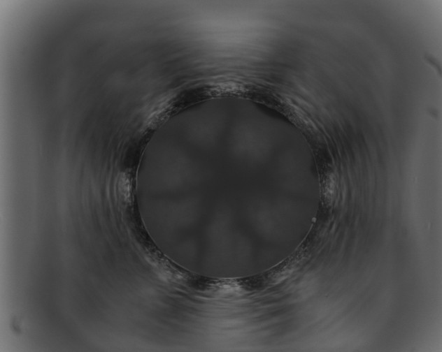 X0000091940715200709191420