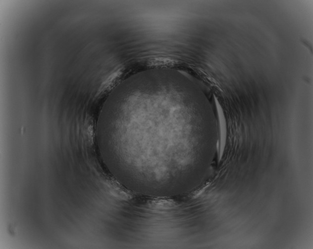 X0000091940716200709191420