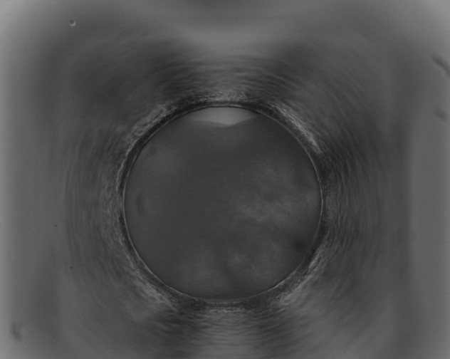 X0000091940721200709191419