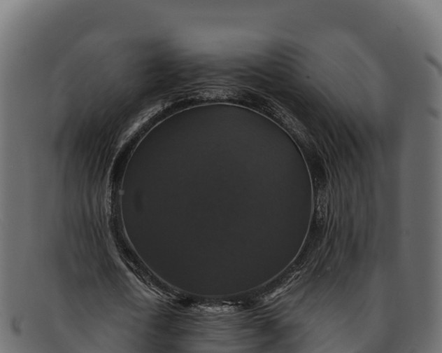 X0000091940722200709191419