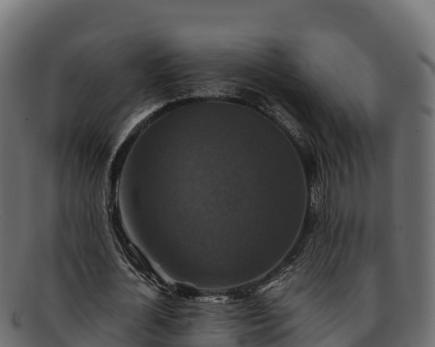 X0000091940724200709191419