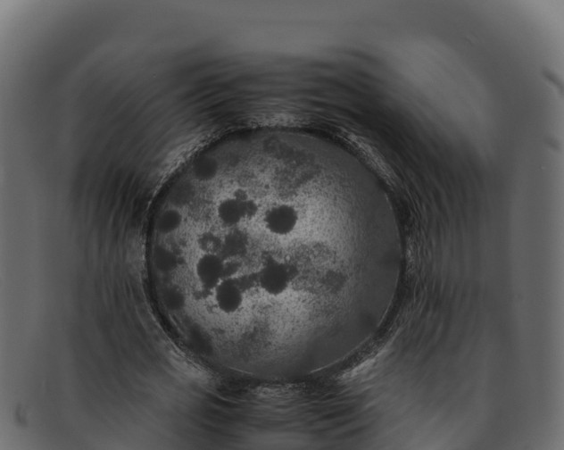 X0000091940725200709191419