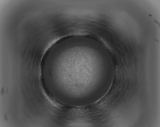 X0000091940726200709191419