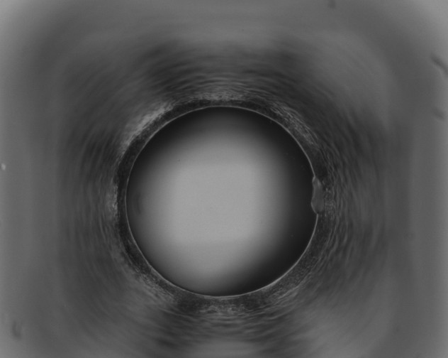 X0000091940727200709191419