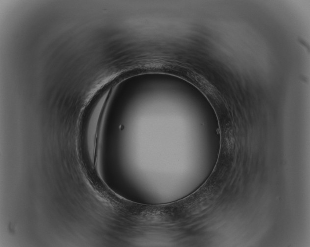 X0000091940728200709191419