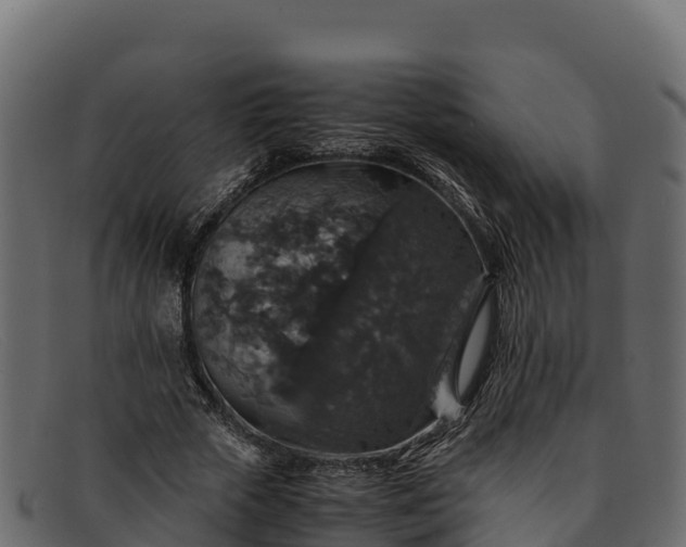 X0000091940729200709191419