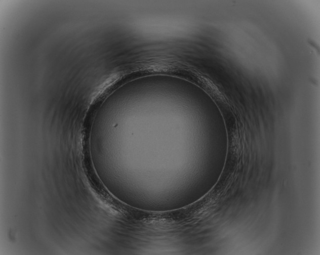 X0000091940730200709191419