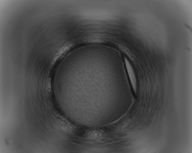 X0000091940731200709191419