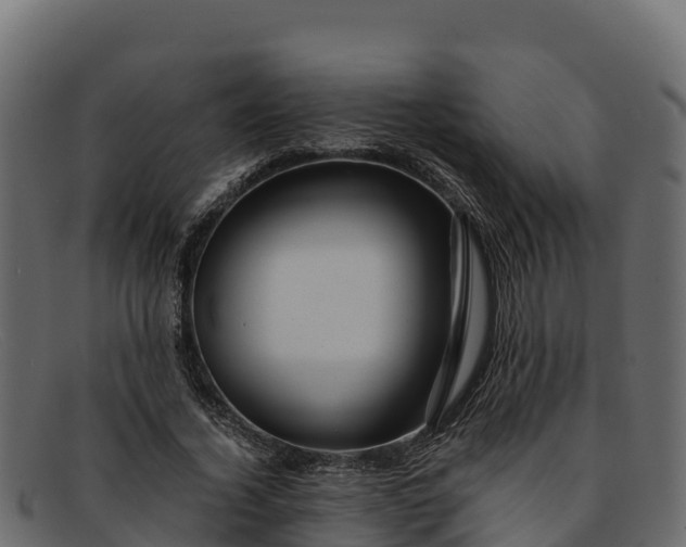 X0000091940732200709191419