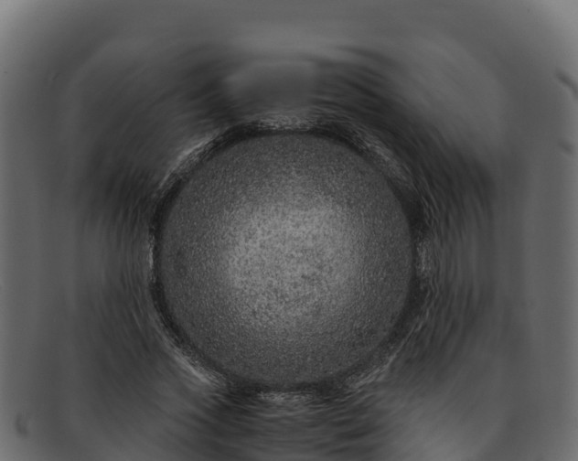 X0000091940733200709191419