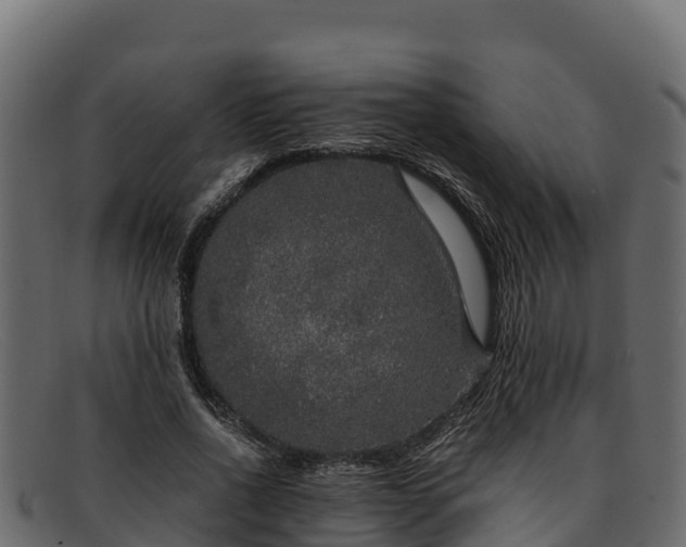 X0000091940734200709191419