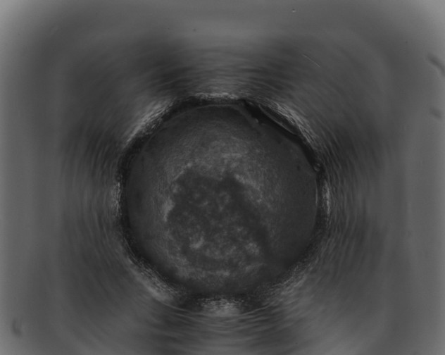 X0000091940735200709191419