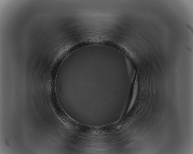 X0000091940736200709191419