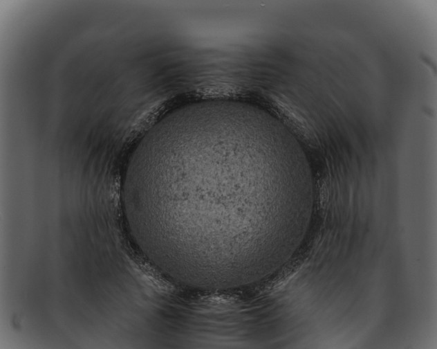 X0000091940737200709191419