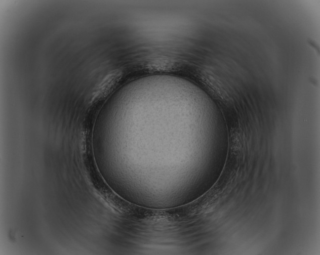 X0000091940738200709191419