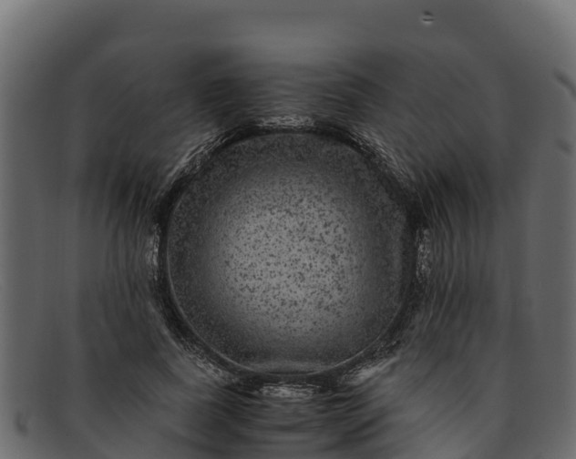 X0000091940739200709191419