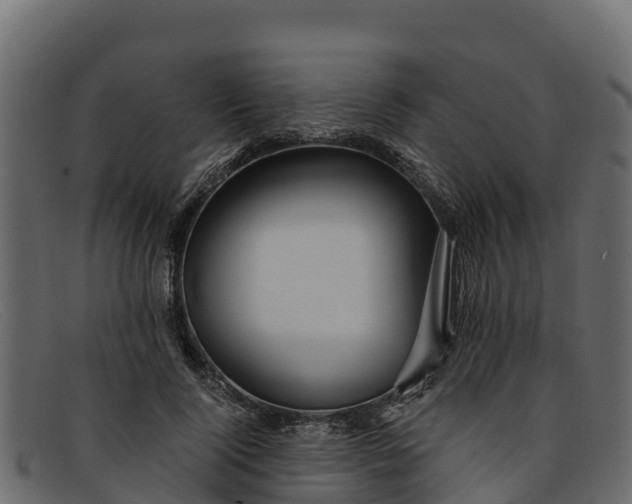 X0000091940740200709191419