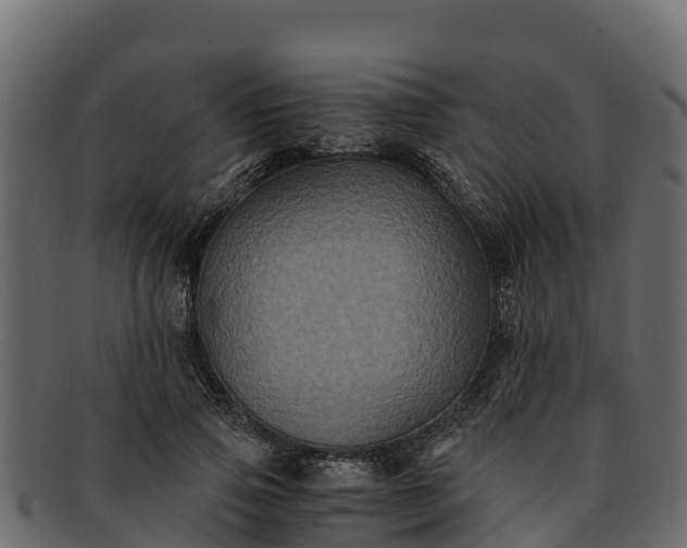 X0000091940741200709191419