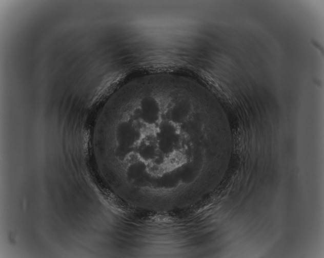 X0000091940742200709191419