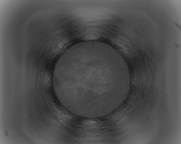 X0000091940743200709191420