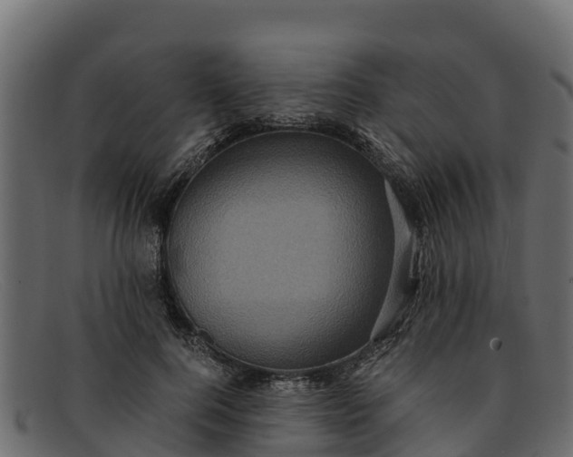 X0000091940744200709191420