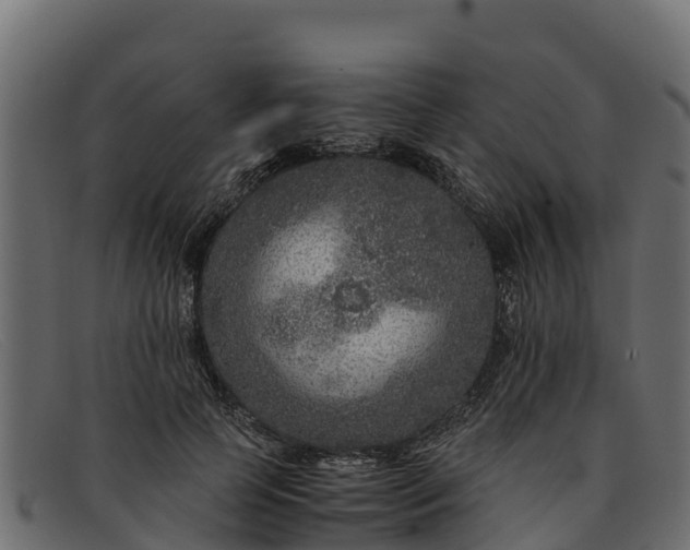 X0000091940745200709191420