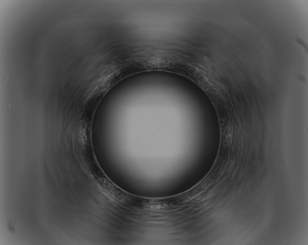 X0000091940746200709191420