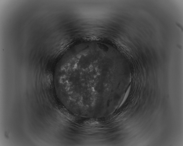 X0000091940747200709191420