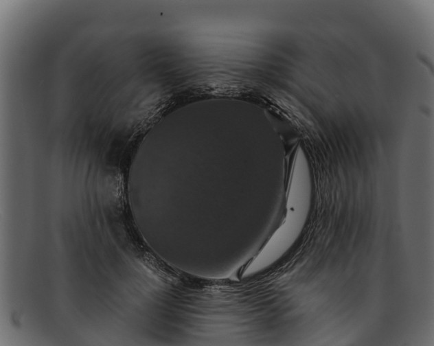 X0000091940748200709191420