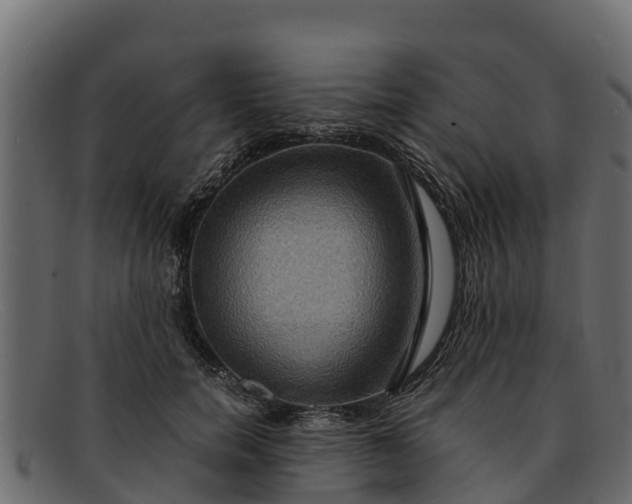 X0000091940750200709191420