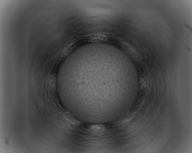 X0000091940753200709191420