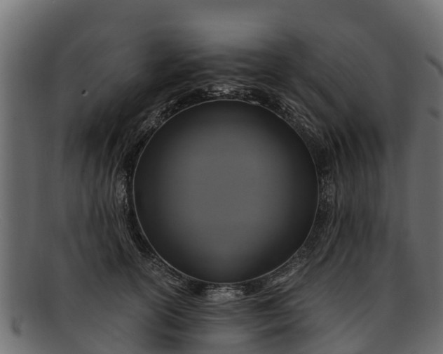 X0000091940754200709191420