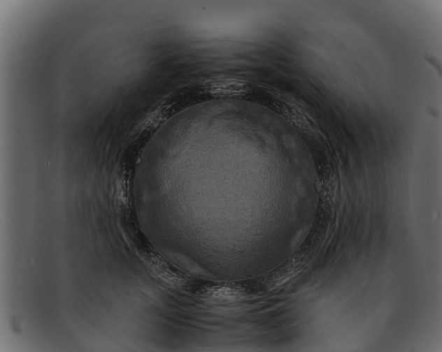 X0000091940755200709191420