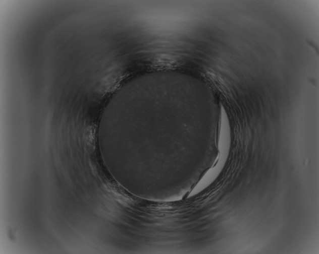 X0000091940759200709191420