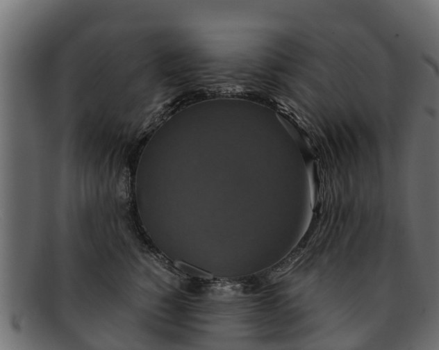 X0000091940760200709191420