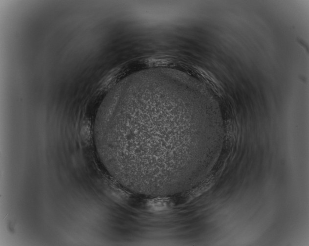 X0000091940761200709191420