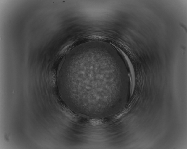 X0000091940762200709191420