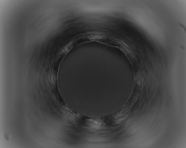 X0000091940763200709191420