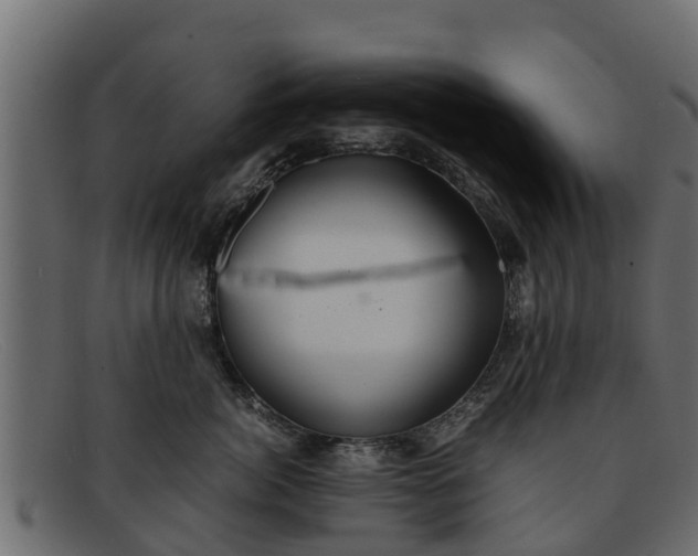 X0000091940764200709191420