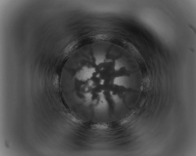 X0000091940765200709191420