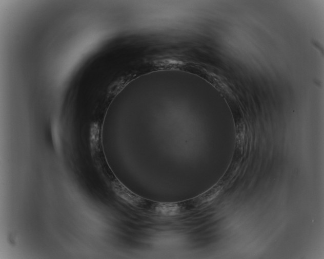 X0000091940767200709191420