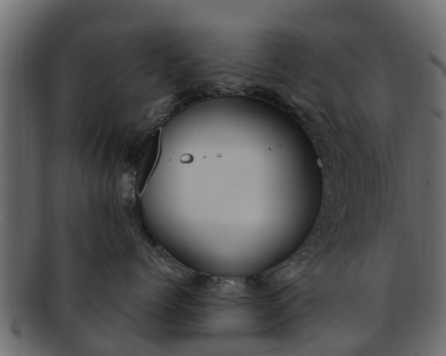 X0000091940768200709191420