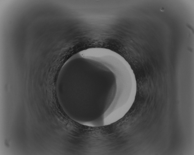 X0000091940769200709191419