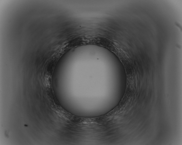 X0000091940770200709191419