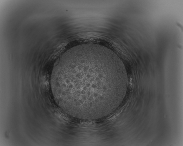 X0000091940771200709191419