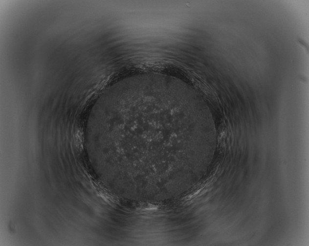 X0000091940772200709191419