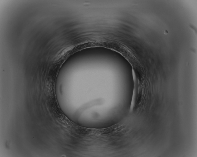 X0000091940773200709191419