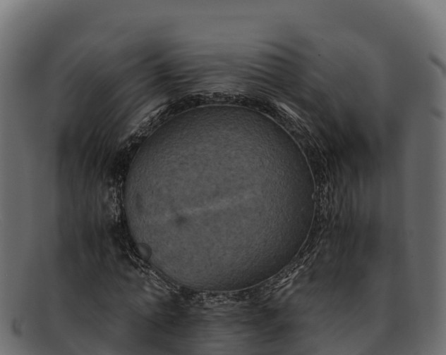 X0000091940774200709191419